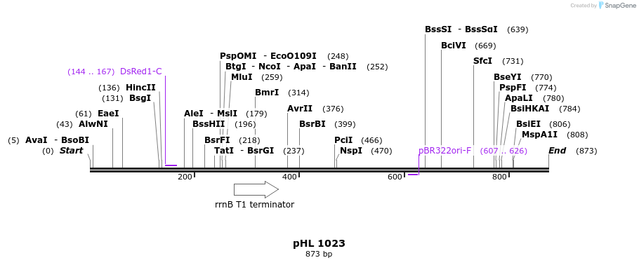 84144_map