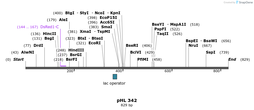 84145_map