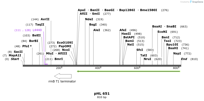 84146_map