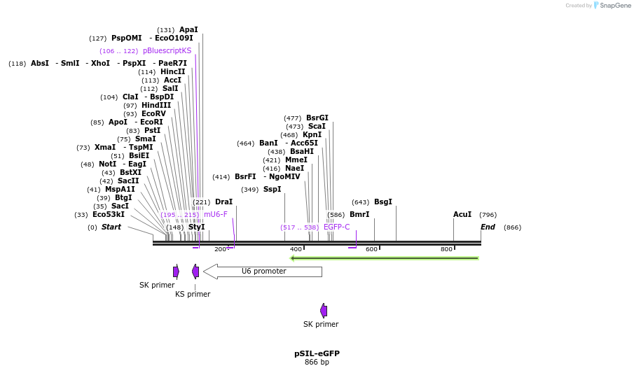 84149_map