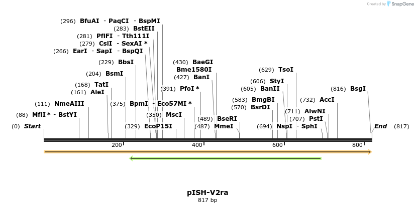 8415_map