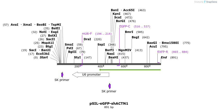 84150_map