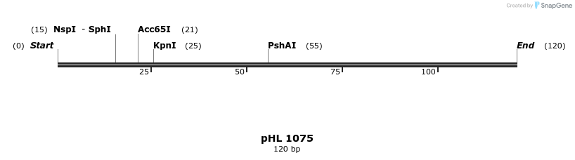 84151_map