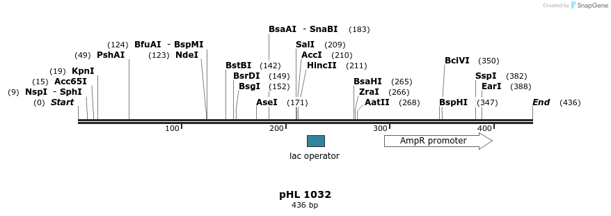 84152_map