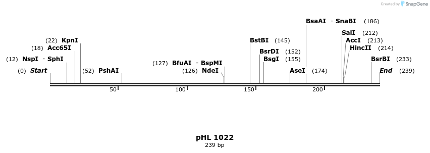 84154_map