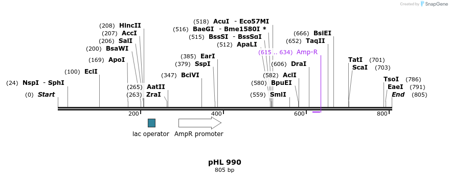 84155_map