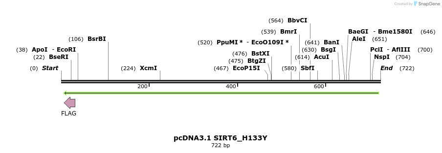 84156_map
