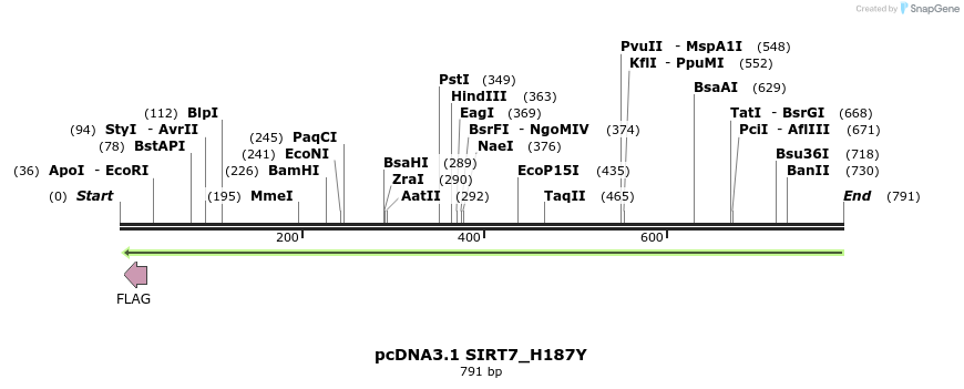 84157_map
