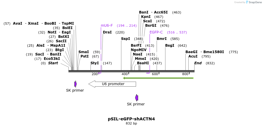 84160_map