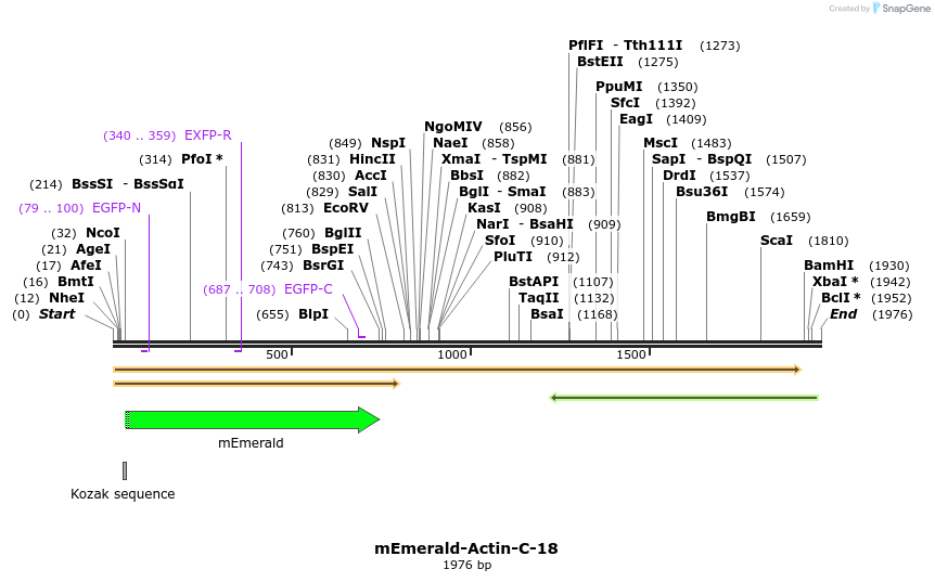 84171_map