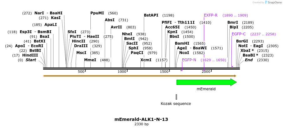84174_map