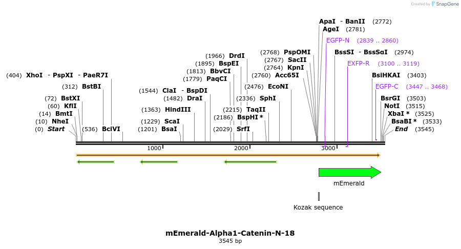 84176_map