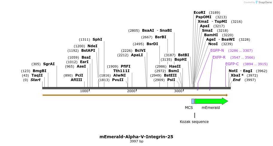 84178_map