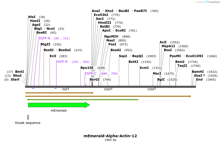 84179_map