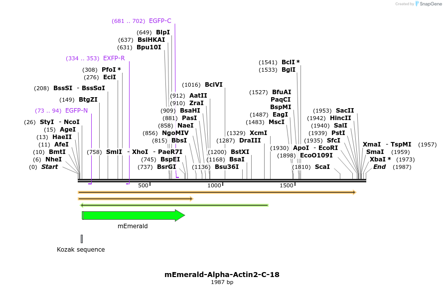 84180_map