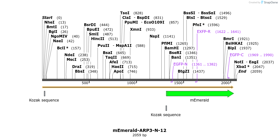 84188_map
