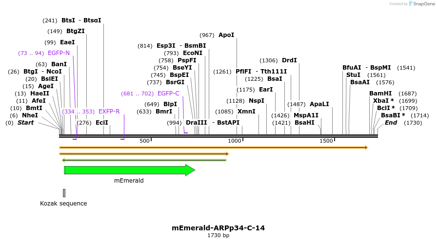 84189_map