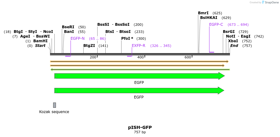 8419_map