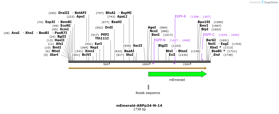 84190_map