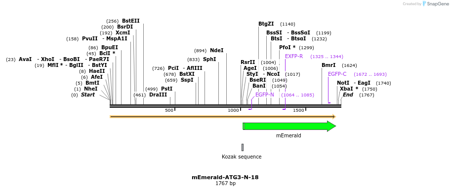 84192_map