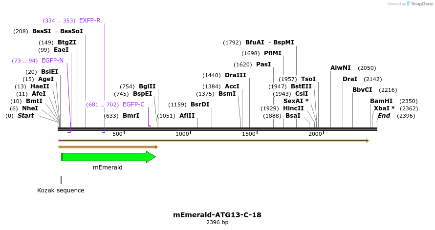 84197_map