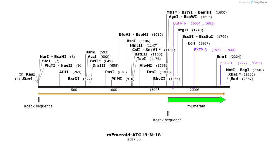 84198_map