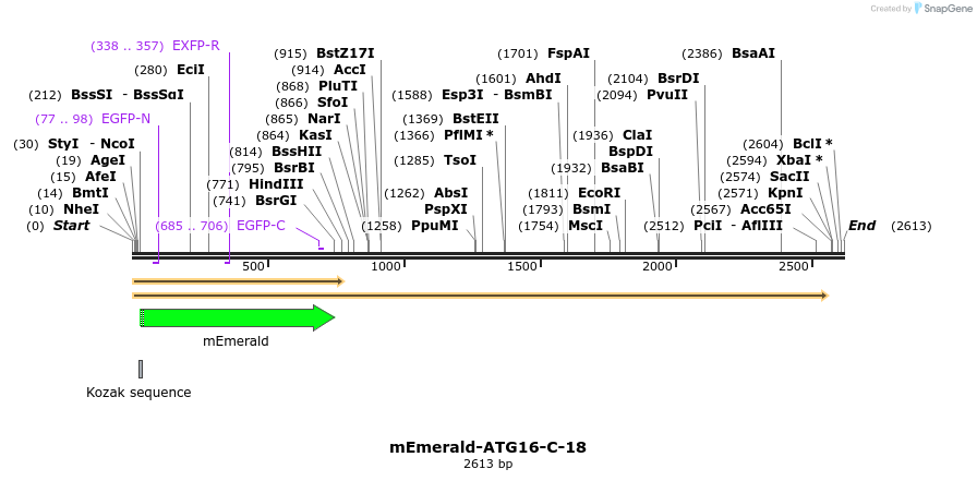 84200_map