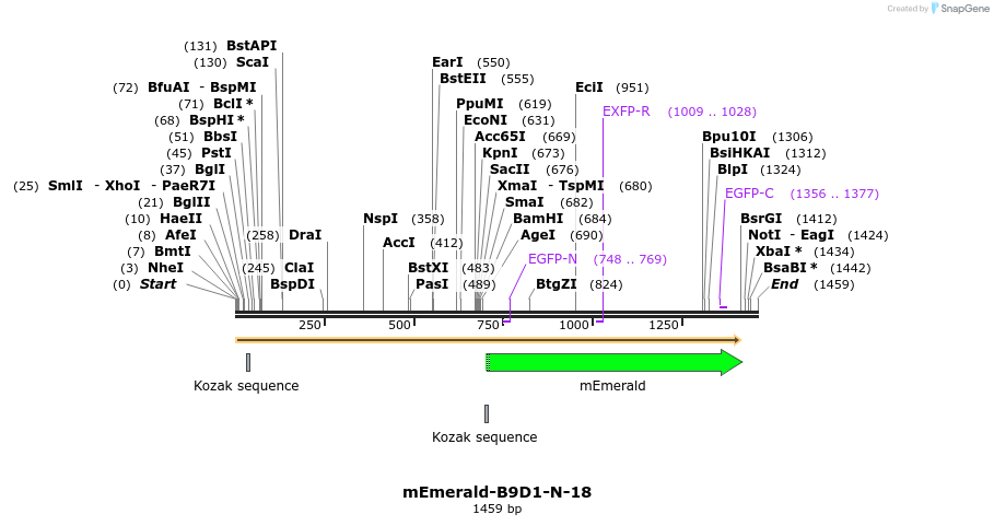84202_map