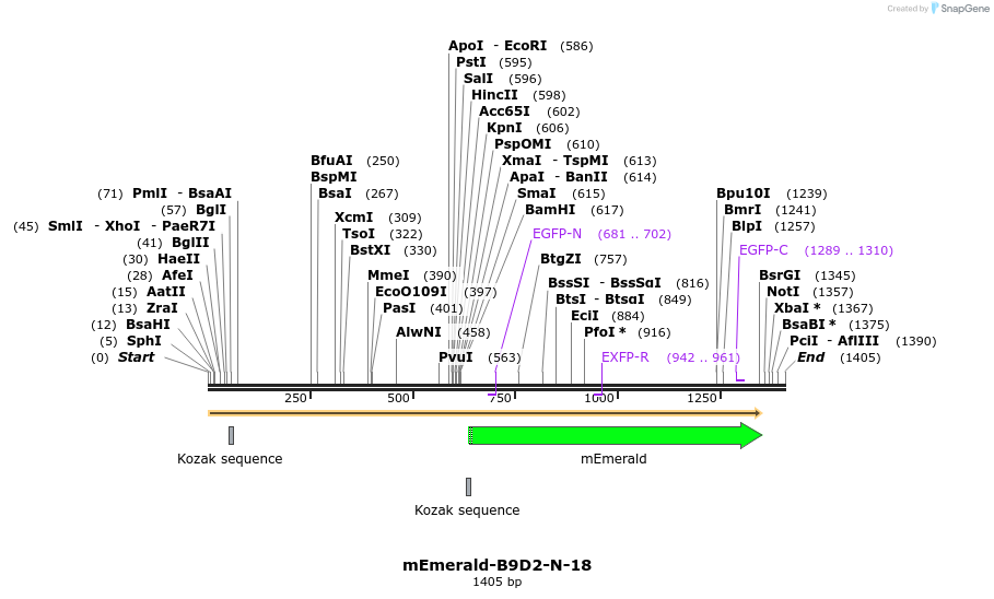 84203_map
