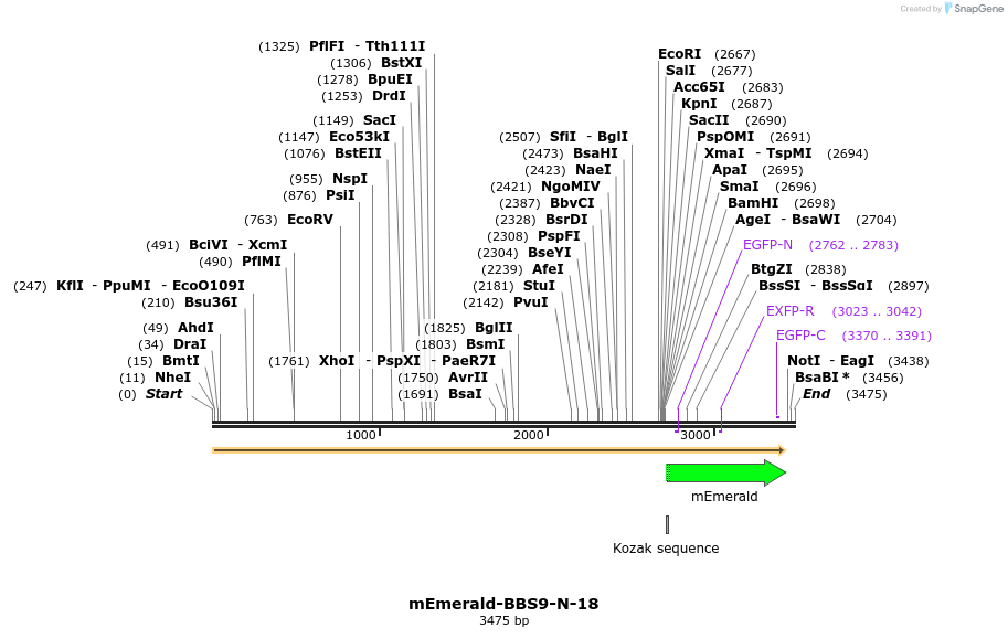 84204_map