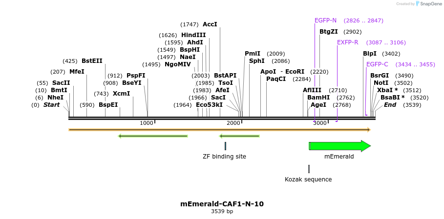 84207_map