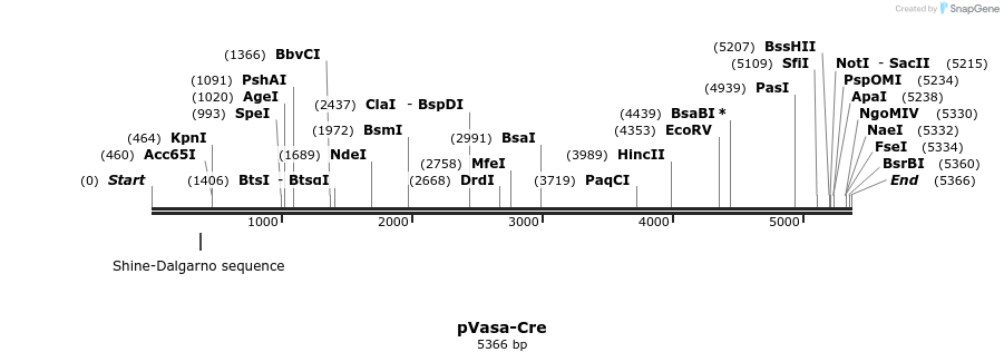 8421_map