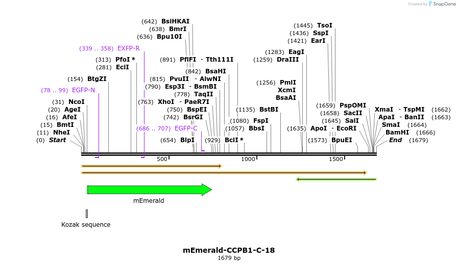 84214_map