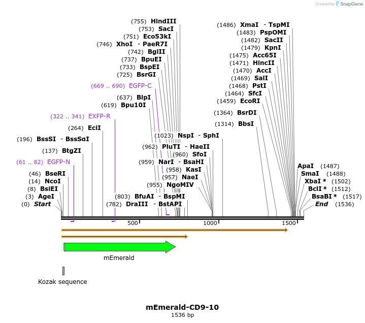 84215_map
