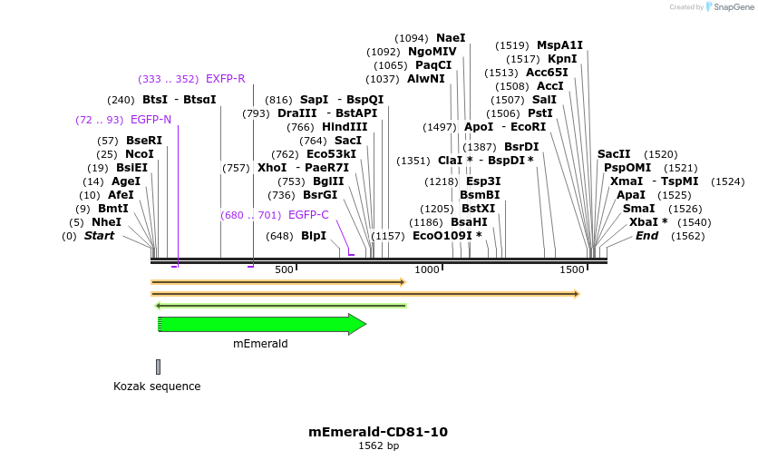84217_map