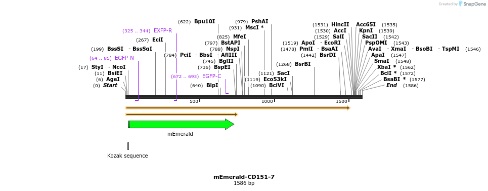 84218_map