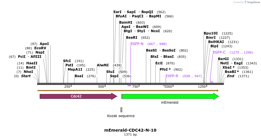84220_map