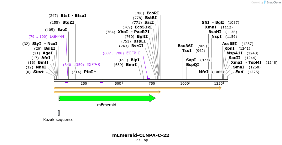 84221_map
