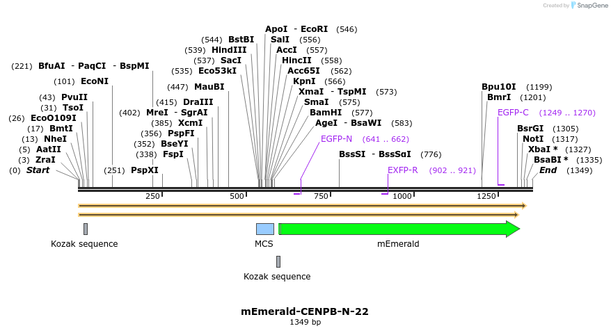 84223_map