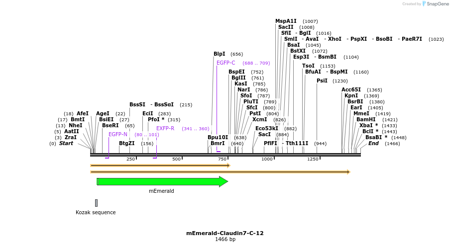 84227_map