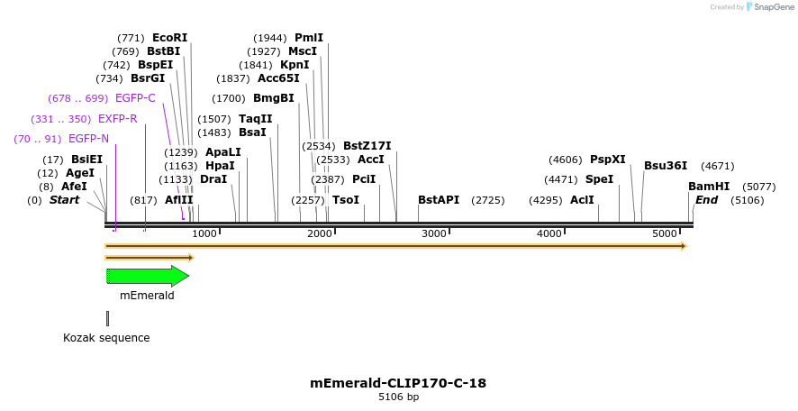 84229_map
