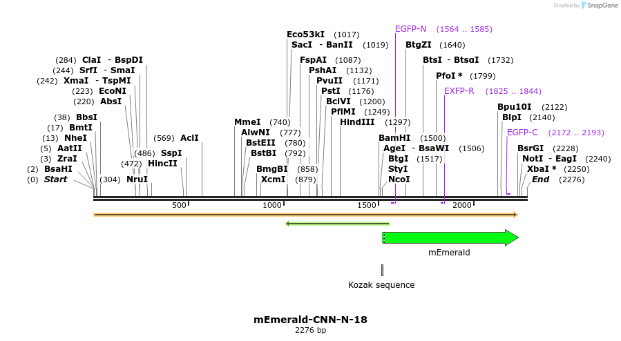 84231_map