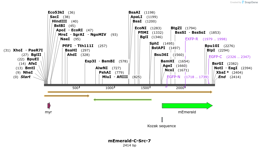 84236_map