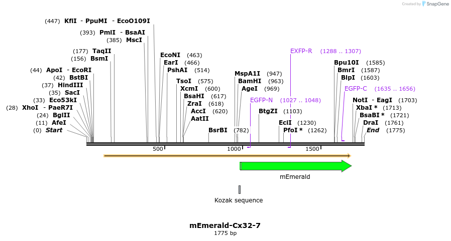 84238_map