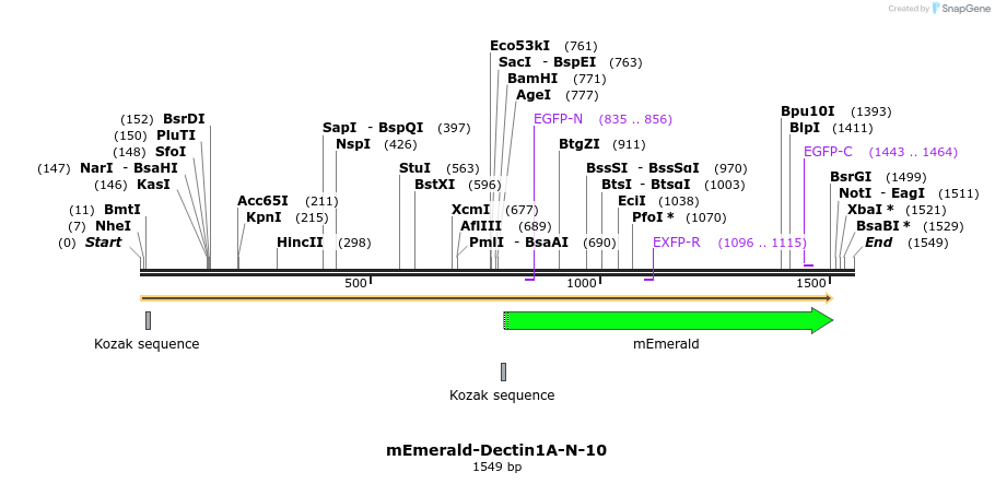 84241_map