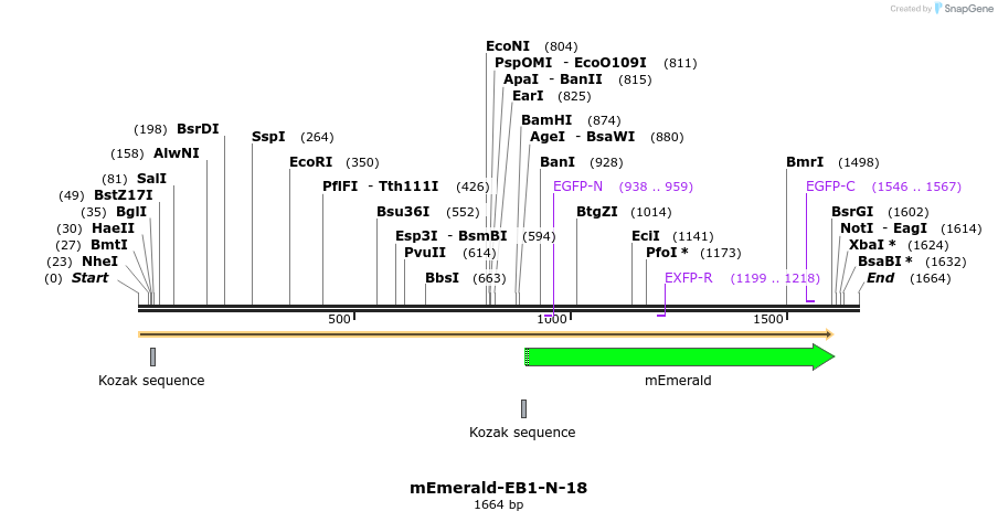 84253_map