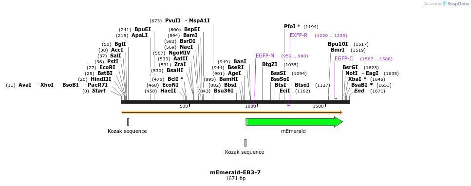 84254_map
