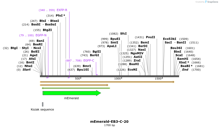 84255_map