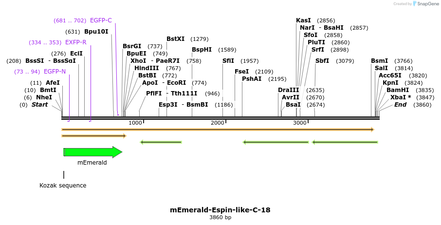 84261_map