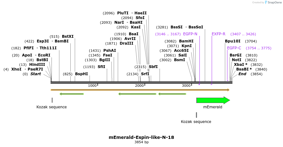 84262_map